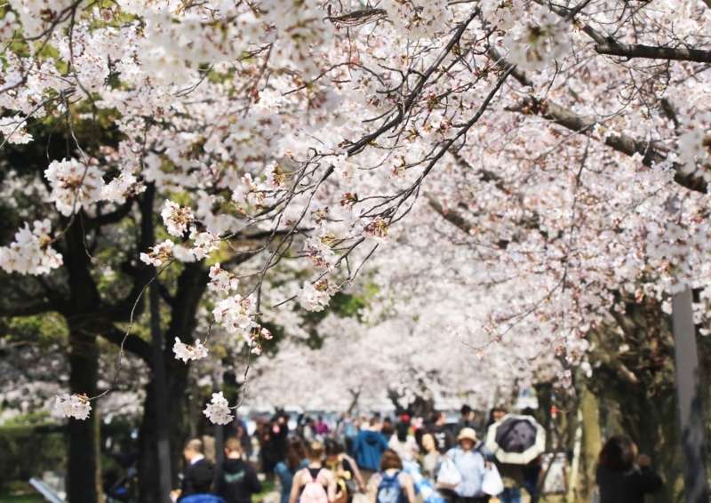 f:id:hiroshisj:20180406132351j:image