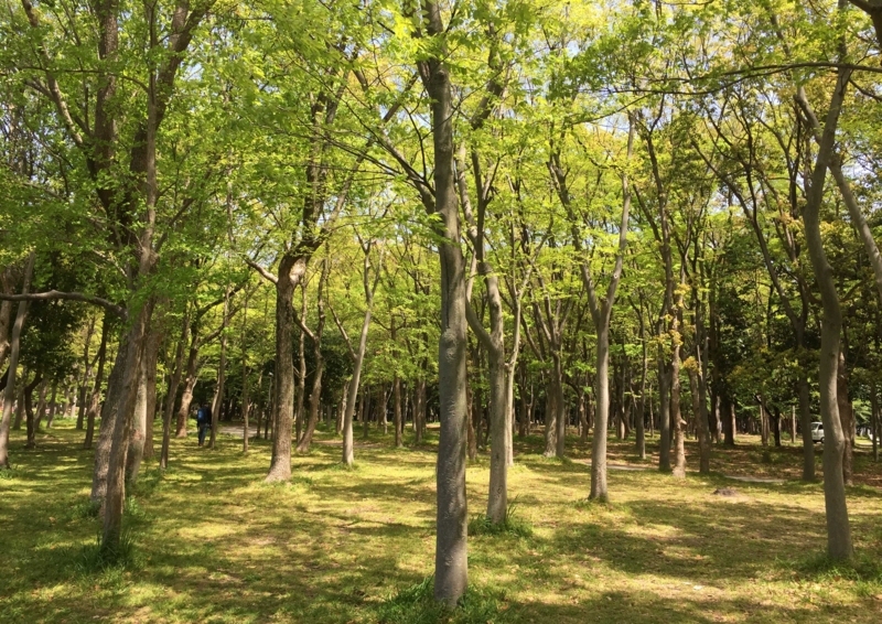 f:id:hiroshisj:20180419200813j:image