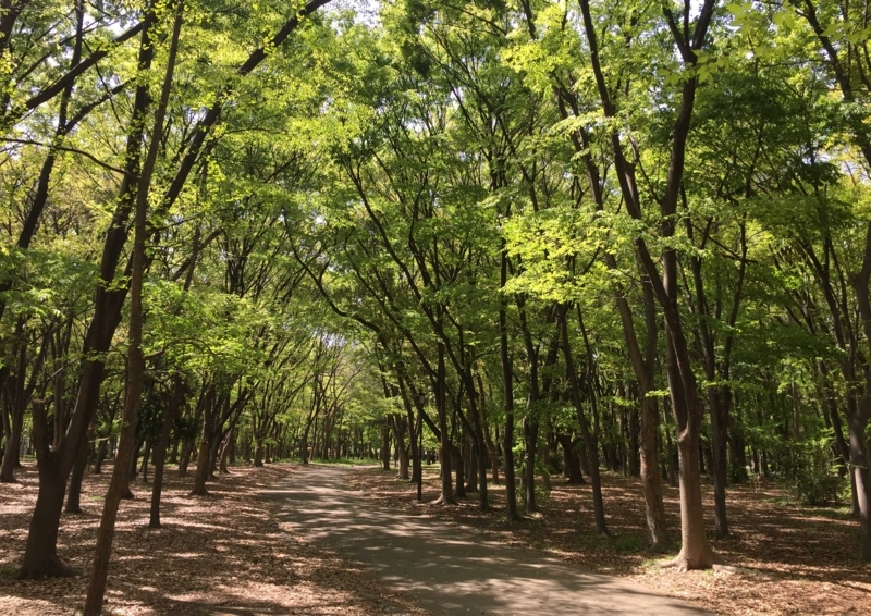 f:id:hiroshisj:20180419200951j:image