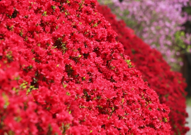f:id:hiroshisj:20180423222911j:image