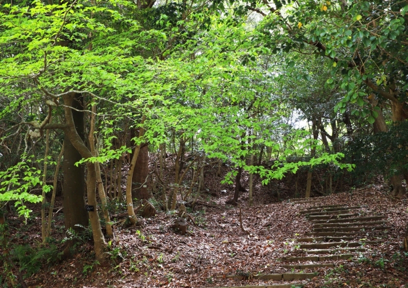 f:id:hiroshisj:20180423224740j:image