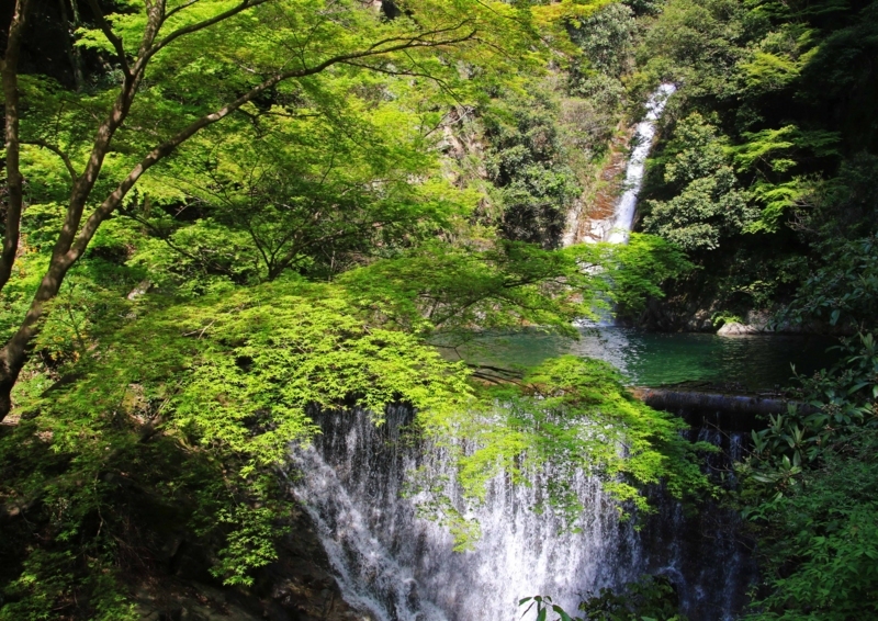 f:id:hiroshisj:20180427154501j:image