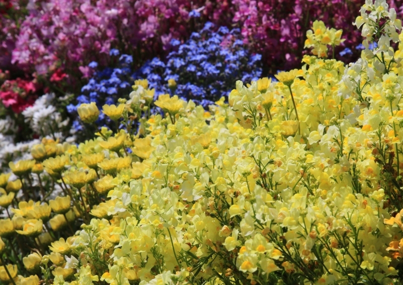 f:id:hiroshisj:20180427161753j:image