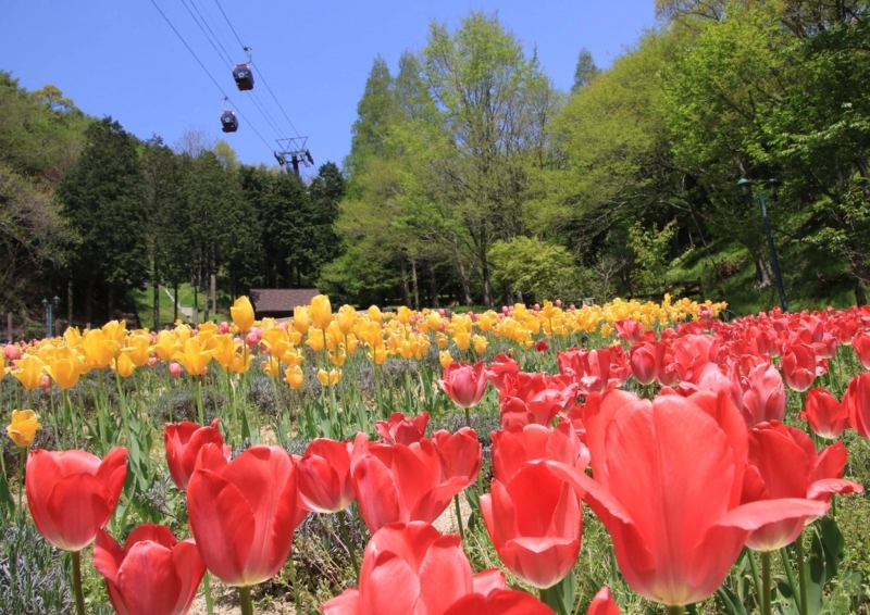 f:id:hiroshisj:20180427161827j:image