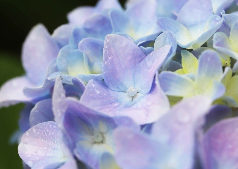 f:id:hiroshisj:20180607202506j:image f:id:hiroshisj:20180607202506j:image