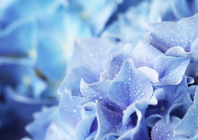 f:id:hiroshisj:20180607203154j:image f:id:hiroshisj:20180607203154j:image
