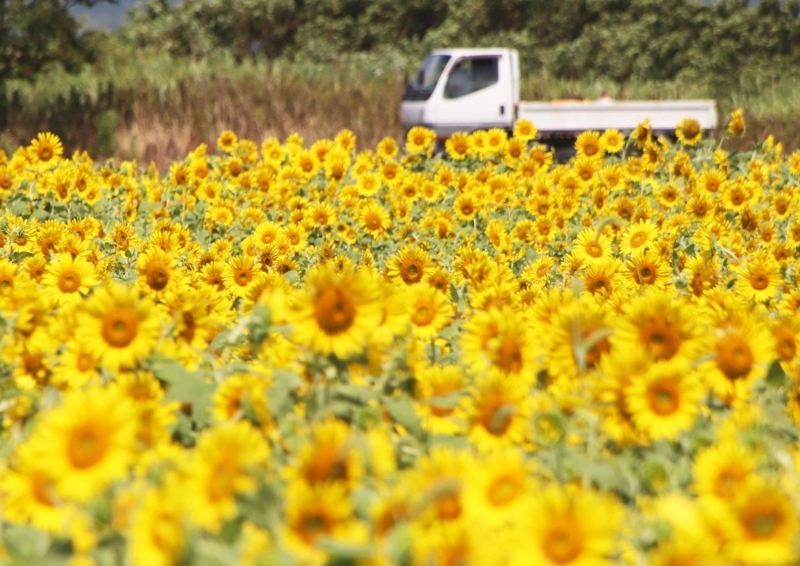 f:id:hiroshisj:20180822001455j:image f:id:hiroshisj:20180822001455j:image