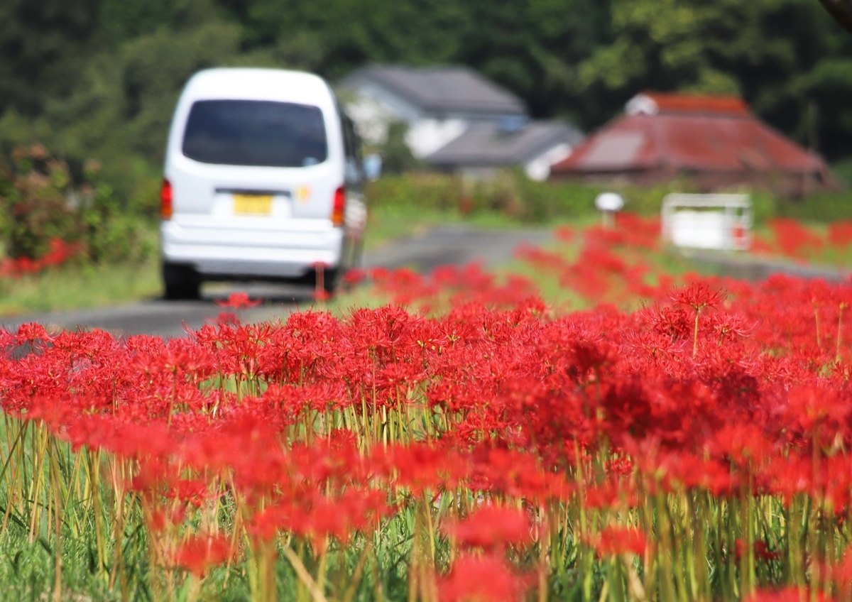 f:id:hiroshisj:20190915212833j:plain f:id:hiroshisj:20190915212833j:plain