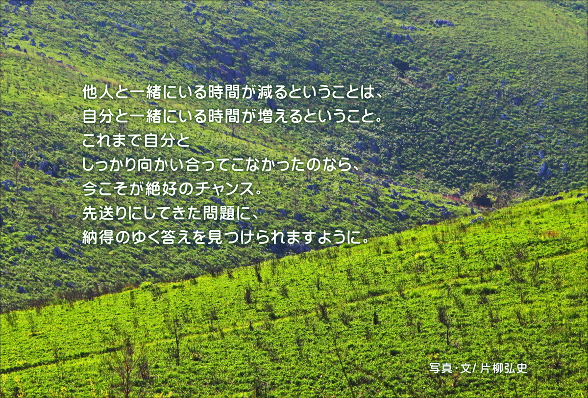f:id:hiroshisj:20200518220617j:plain f:id:hiroshisj:20200518220617j:plain