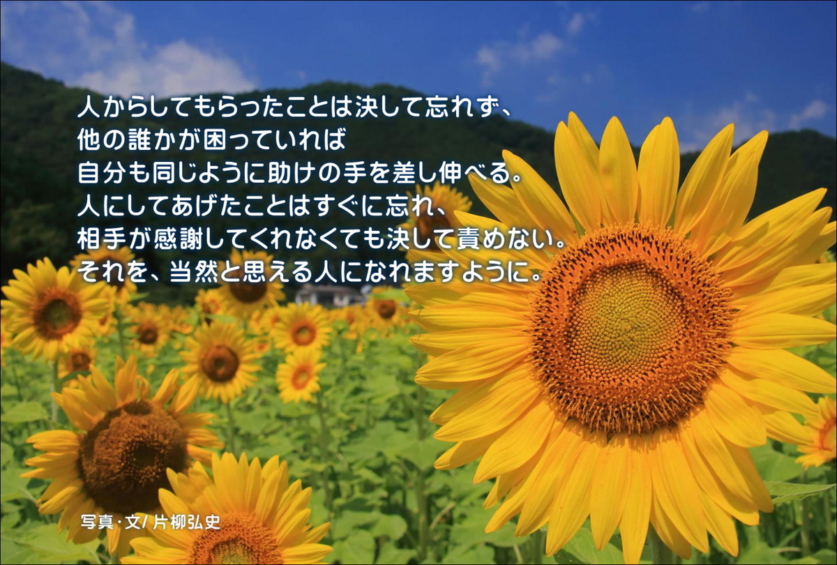 f:id:hiroshisj:20200808160436j:plain f:id:hiroshisj:20200808160436j:plain