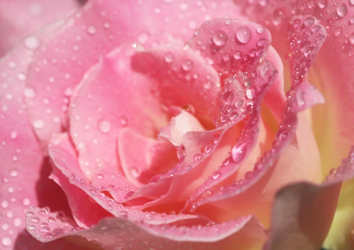 f:id:hiroshisj:20201025164032j:plain f:id:hiroshisj:20201025164032j:plain