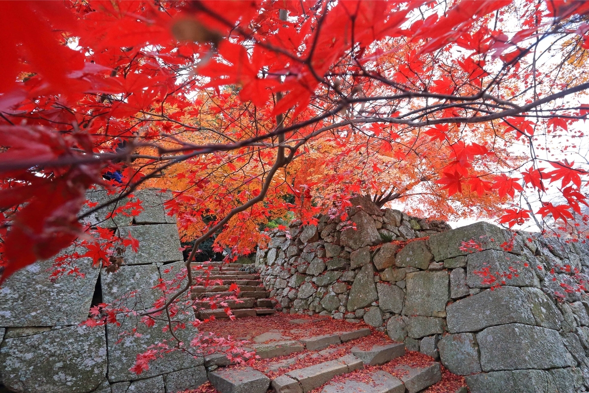 f:id:hiroshisj:20211114121407j:plain