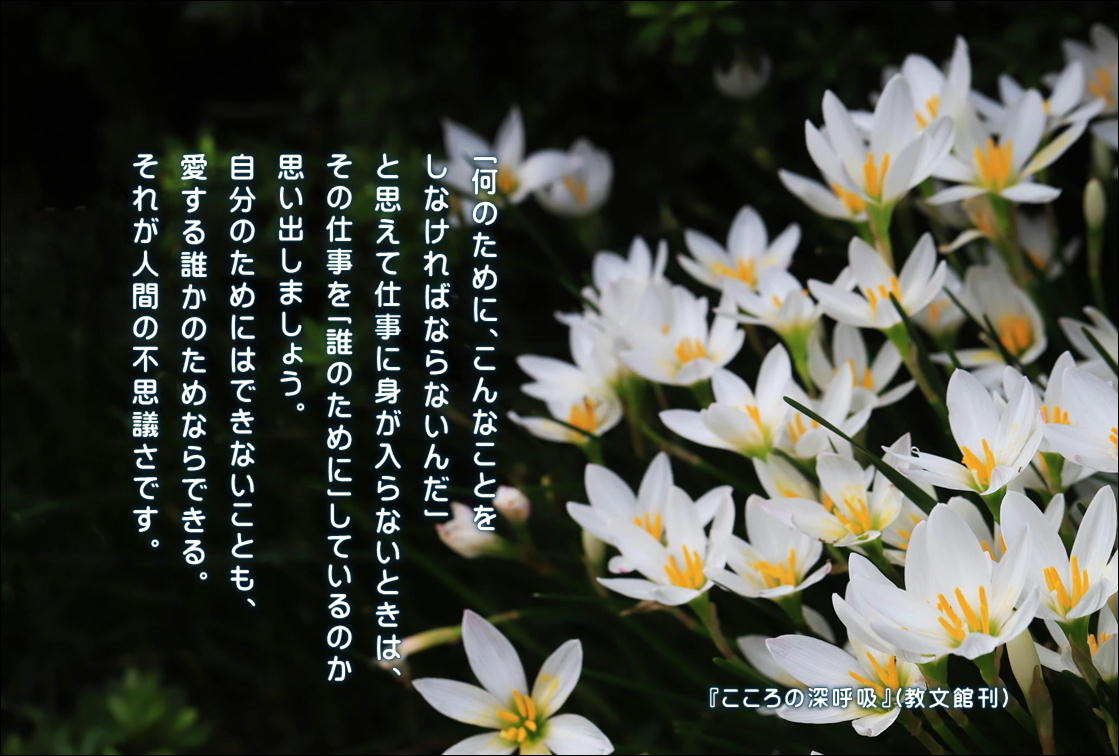 こころの道しるべ(136)誰かのために - 片柳神父のブログ「道の途中で」 こころの道しるべ(136)誰かのために - 片柳神父のブログ「道の途中で」