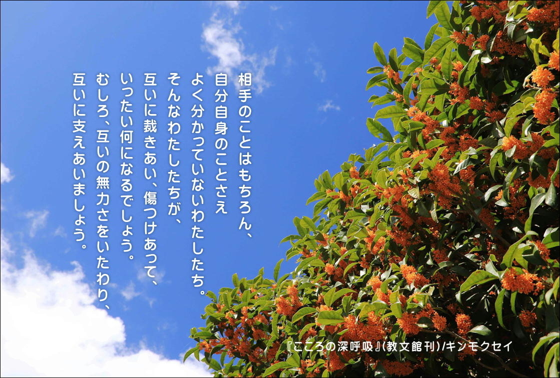 こころの道しるべ(139)支えあう - 片柳神父のブログ「道の途中で」 こころの道しるべ(139)支えあう - 片柳神父のブログ「道の途中で」