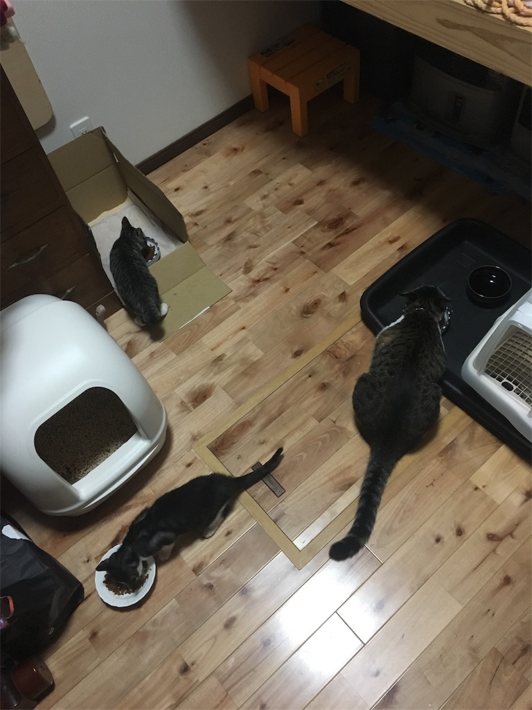 f:id:hiroshixtb:20161216055402j:image f:id:hiroshixtb:20161216055402j:image