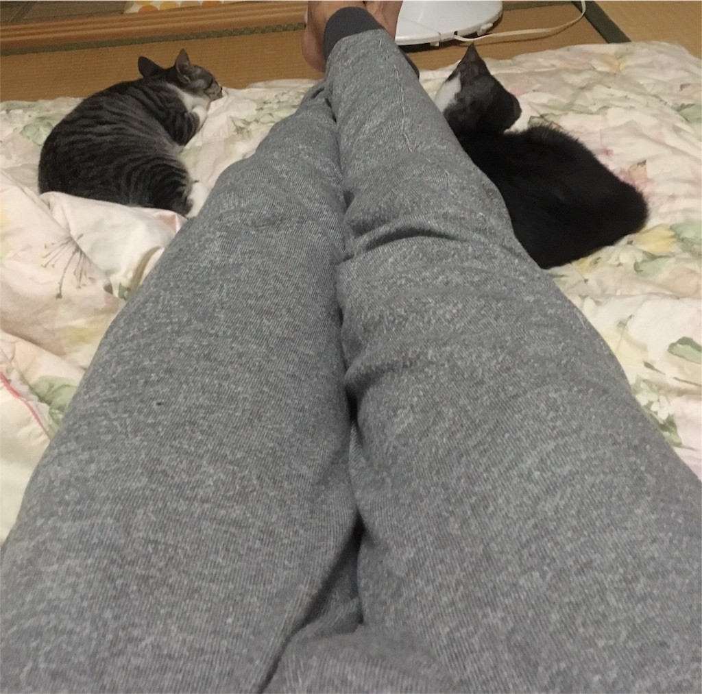 f:id:hiroshixtb:20161216060146j:image f:id:hiroshixtb:20161216060146j:image