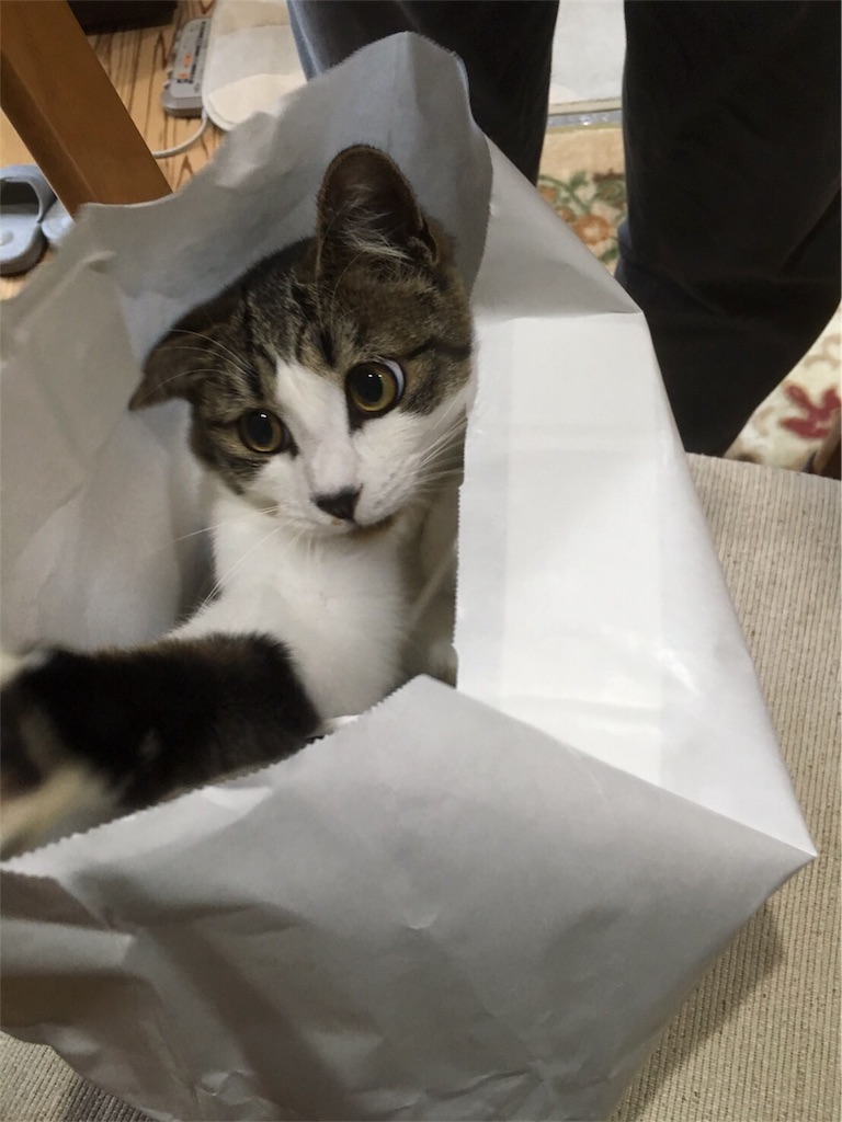 f:id:hiroshixtb:20161216200551j:image f:id:hiroshixtb:20161216200551j:image