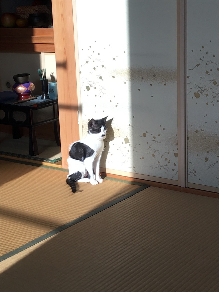 f:id:hiroshixtb:20161216202403j:image f:id:hiroshixtb:20161216202403j:image