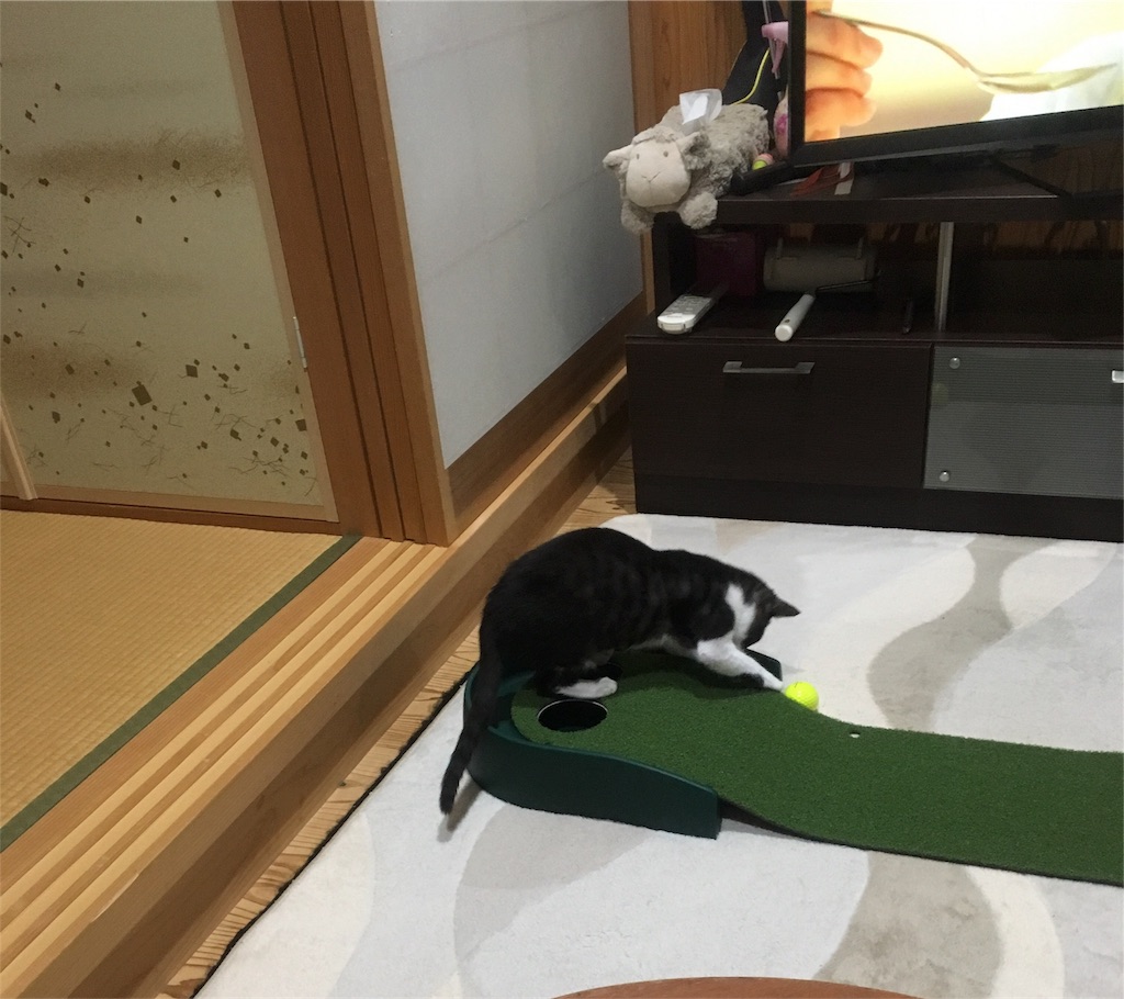 f:id:hiroshixtb:20161216221937j:image f:id:hiroshixtb:20161216221937j:image