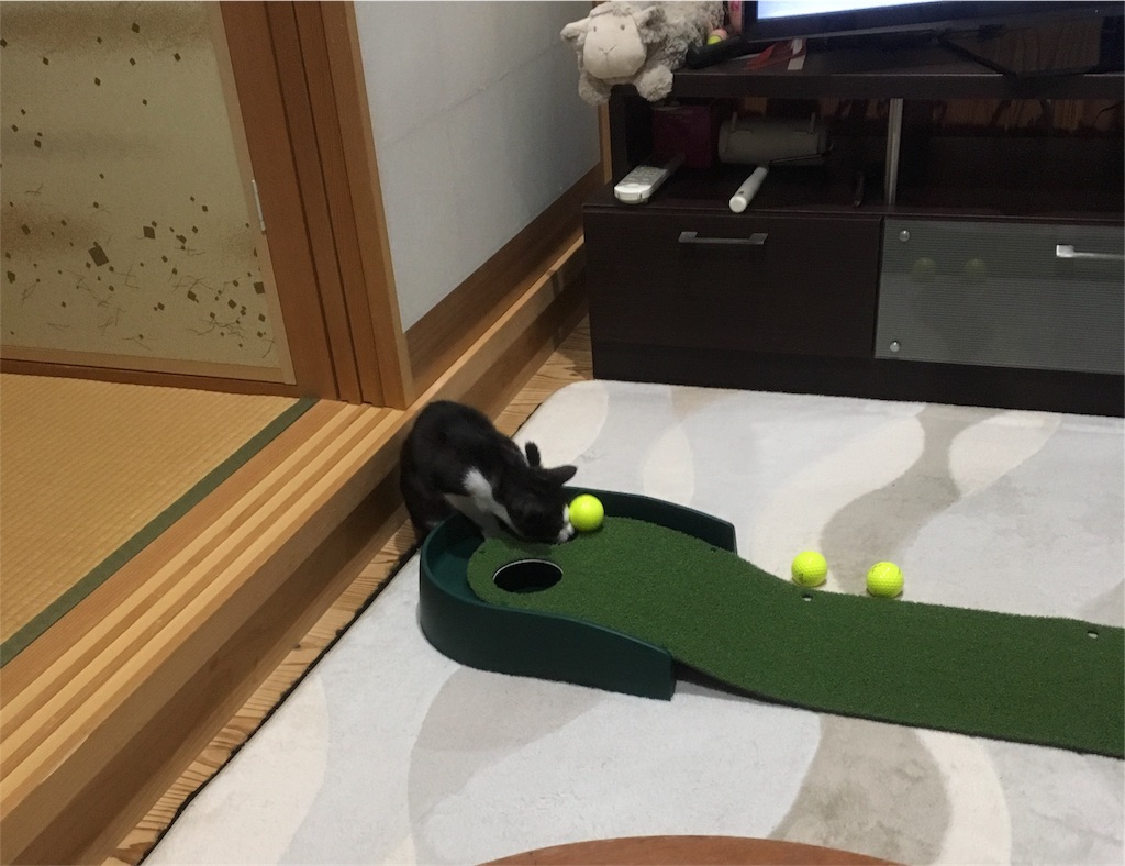 f:id:hiroshixtb:20161216221943j:image f:id:hiroshixtb:20161216221943j:image