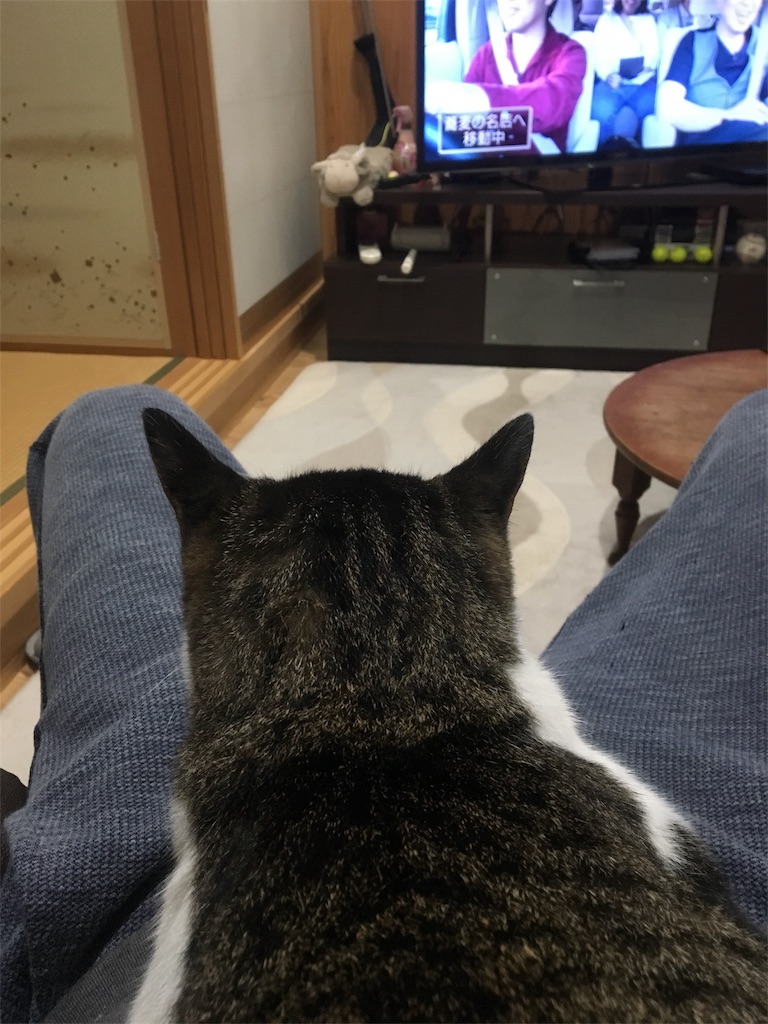 f:id:hiroshixtb:20161216222606j:image f:id:hiroshixtb:20161216222606j:image