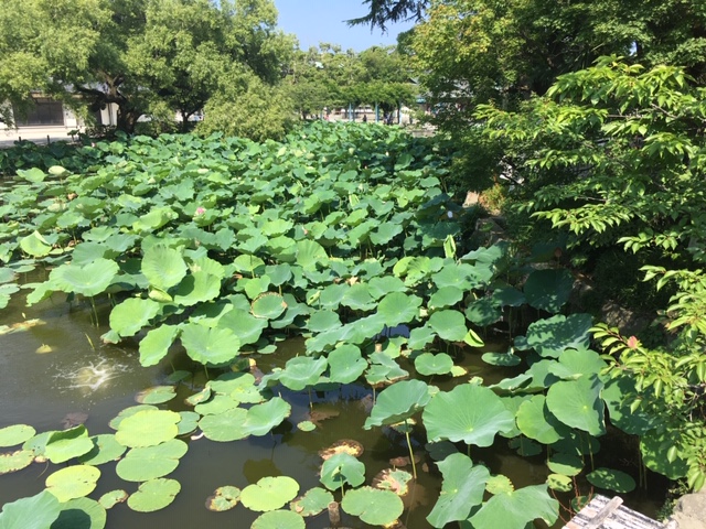f:id:hirosone:20190417183639j:plain f:id:hirosone:20190417183639j:plain