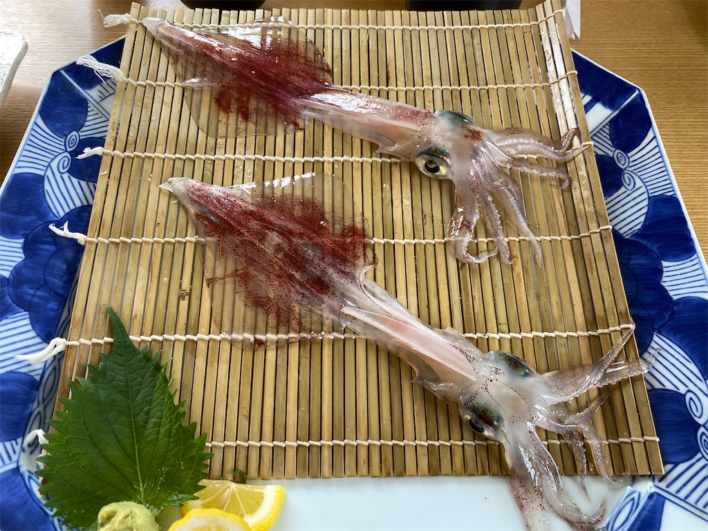 f:id:hirosuke123:20220704033836j:image
