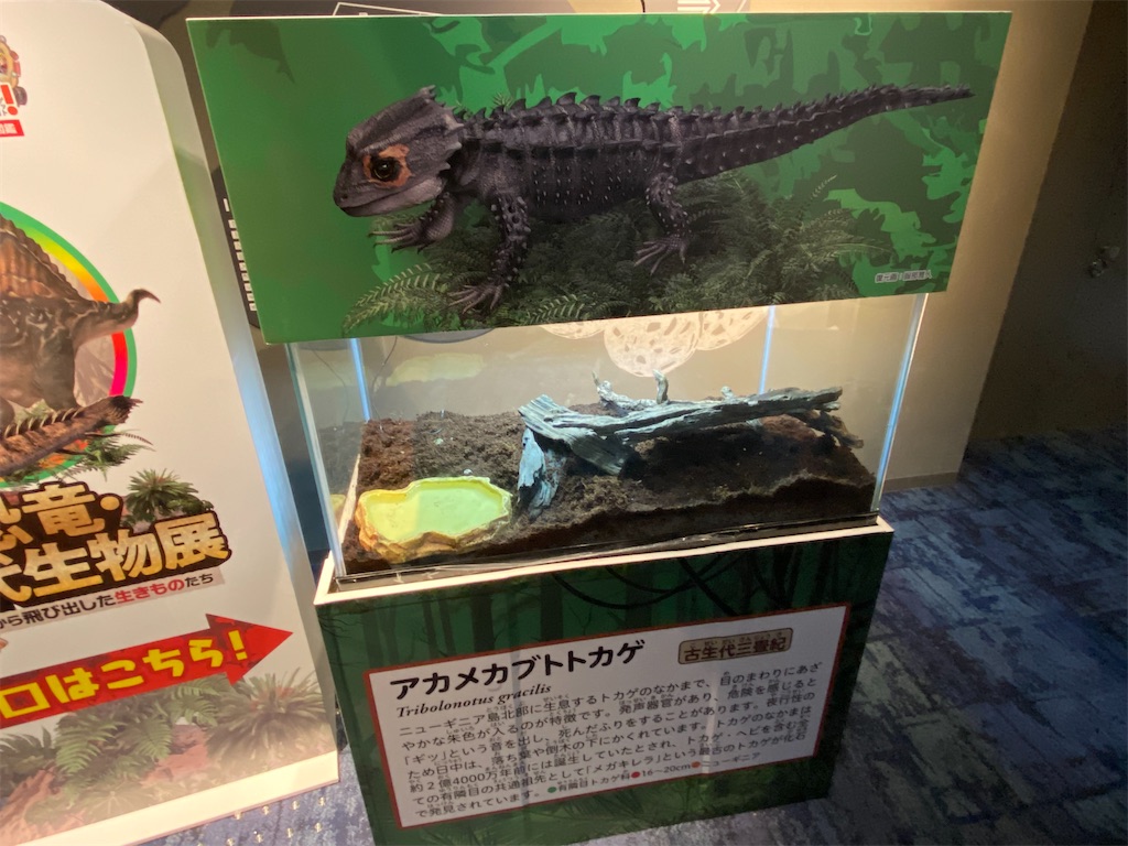f:id:hirosuke123:20220723151857j:image f:id:hirosuke123:20220723151857j:image
