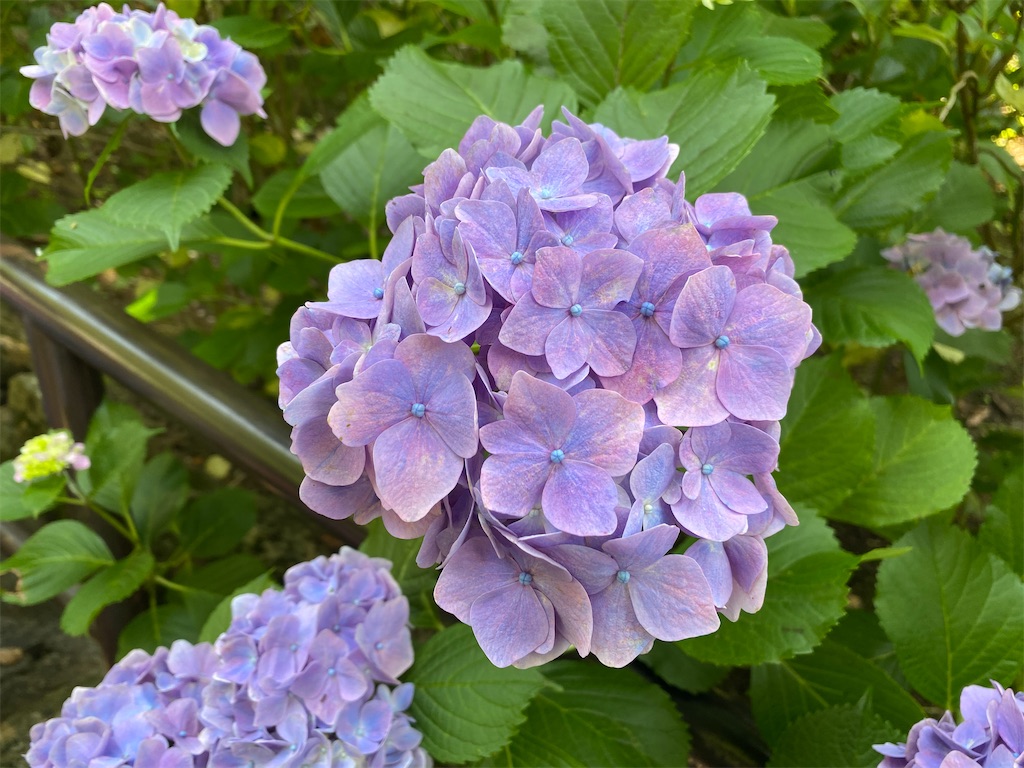 f:id:hirosuke123:20230626054522j:image f:id:hirosuke123:20230626054522j:image