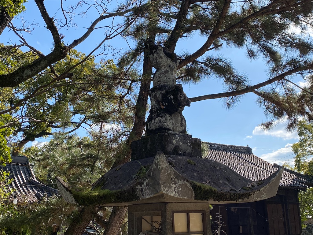 f:id:hirosuke123:20240215233645j:image
