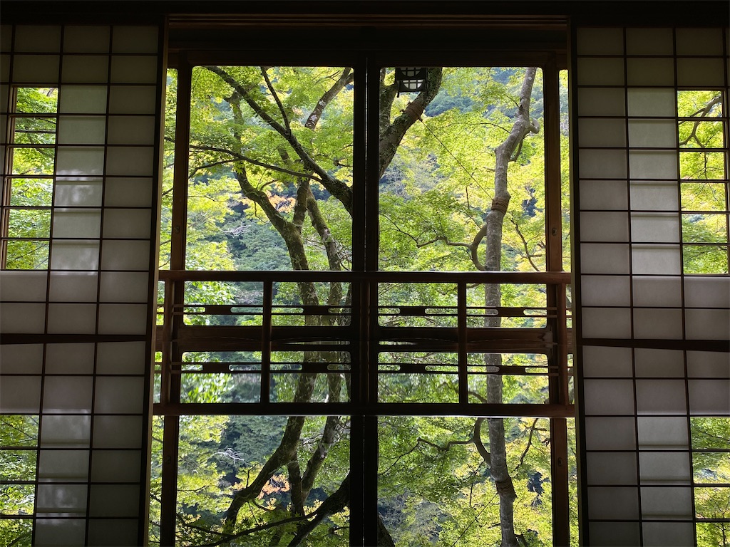 f:id:hirosuke123:20241125223738j:image