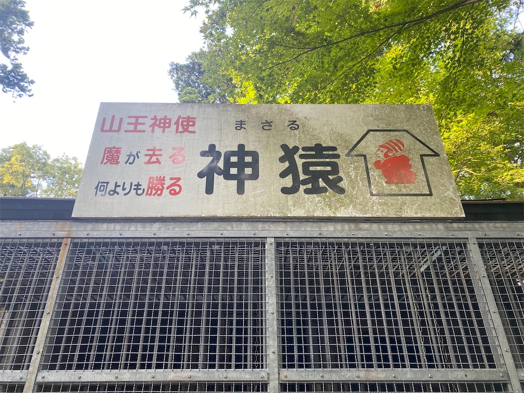 f:id:hirosuke123:20241208065042j:image