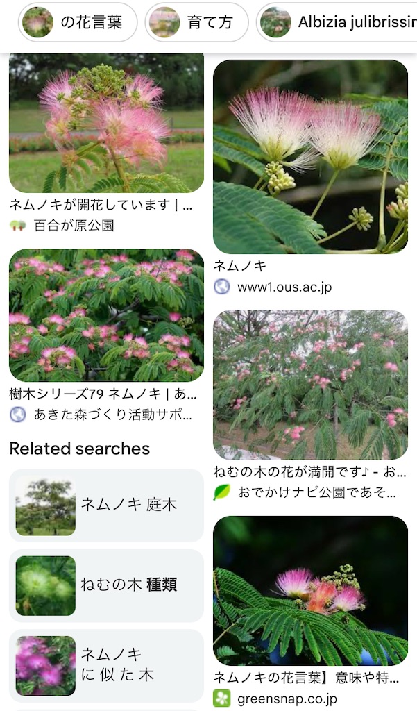 f:id:hirosuke123:20250621234219j:image