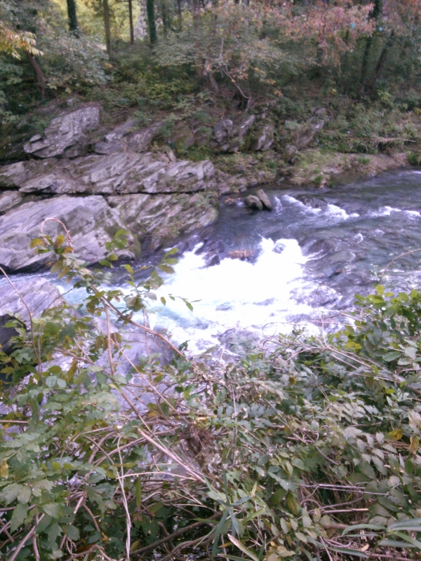 f:id:hirotai:20131102133724j:image:w360:left f:id:hirotai:20131102133724j:image:w360:left