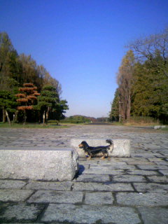 f:id:hirotaka72:20061121092905j:image