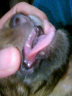 f:id:hirotaka72:20070607195026j:image