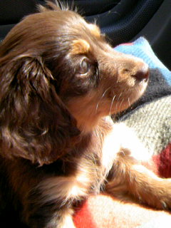 f:id:hirotaka72:20080323133512j:plain f:id:hirotaka72:20080323133512j:plain