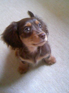 f:id:hirotaka72:20080405112515j:plain f:id:hirotaka72:20080405112515j:plain