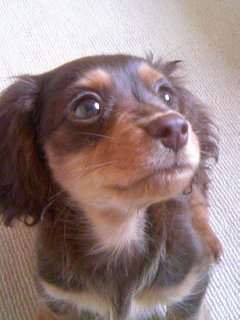 f:id:hirotaka72:20080405112634j:plain f:id:hirotaka72:20080405112634j:plain