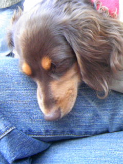 f:id:hirotaka72:20081123141452j:plain f:id:hirotaka72:20081123141452j:plain