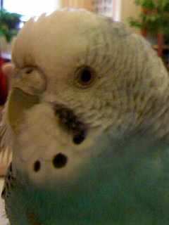 f:id:hirotaka72:20090124074626j:image
