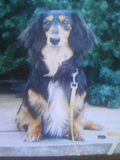 f:id:hirotaka72:20090307112328j:image