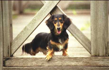 f:id:hirotaka72:20090621070738j:image f:id:hirotaka72:20090621070738j:image