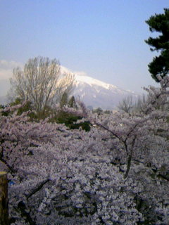 f:id:hirotaka72:20100502083302j:plain f:id:hirotaka72:20100502083302j:plain