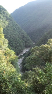 f:id:hirotaka72:20100921161516j:plain f:id:hirotaka72:20100921161516j:plain