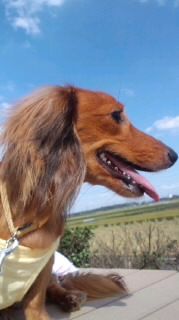 f:id:hirotaka72:20110918140449j:image