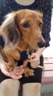 f:id:hirotaka72:20110923114603j:image f:id:hirotaka72:20110923114603j:image