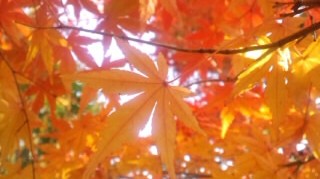 f:id:hirotaka72:20111130170147j:image
