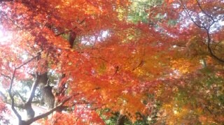 f:id:hirotaka72:20111130170149j:image