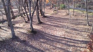 f:id:hirotaka72:20111224131859j:image